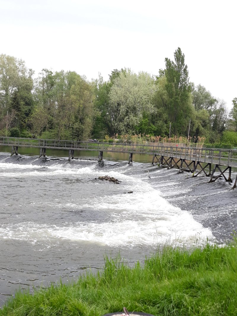 Ausfahrt mit Großkanadiern: Untere Ill
