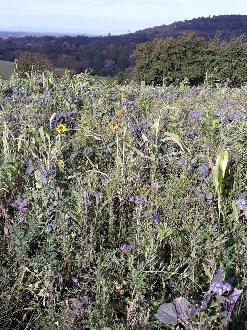 Herbstwanderung 2023