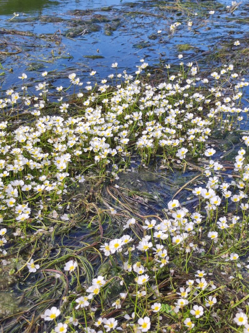 Ausfahrt auf dem Sandbach