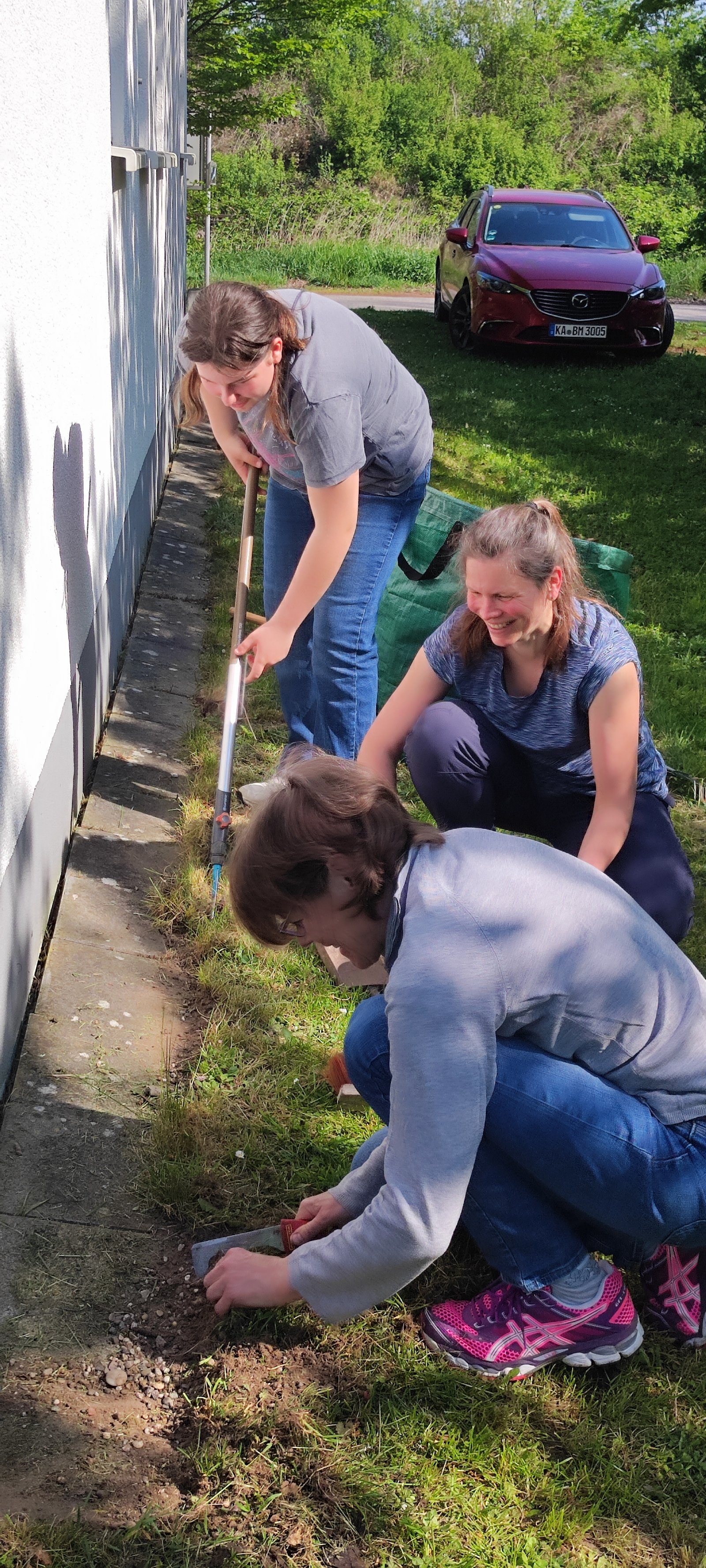 Unkraut an der Hauswand entfernen
