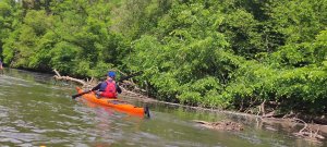 IMG_20260510_122420.jpg