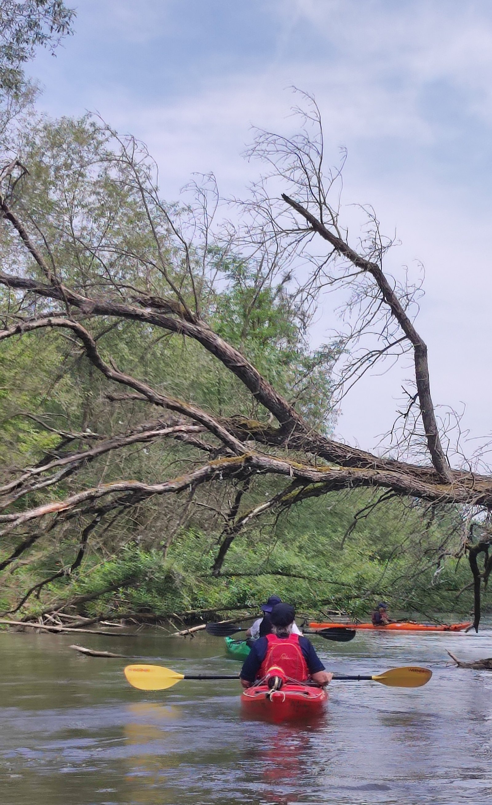 ...ducken und durch...