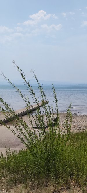 IMG_20260731_134735.jpg