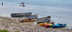 IMG_20260801_134246.jpg