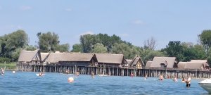 IMG_20260802_131555.jpg