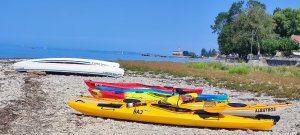 IMG_20260804_105956.jpg