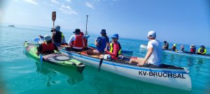 IMG_20260803_111036.jpg