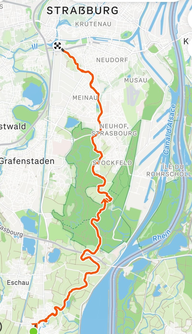 Krummer Rhein, savoir vivre oder der andere Blickwinkel