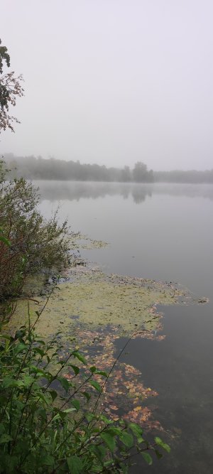 IMG_20261003_102446.jpg