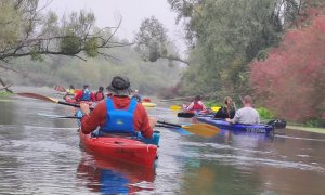 IMG_20261003_112312.jpg